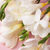 Yum Boujee Marshmallow 81 100ml, 100ml, hi-res